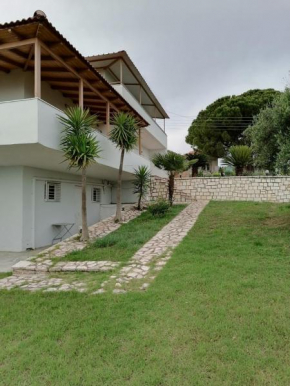 Panoramic view